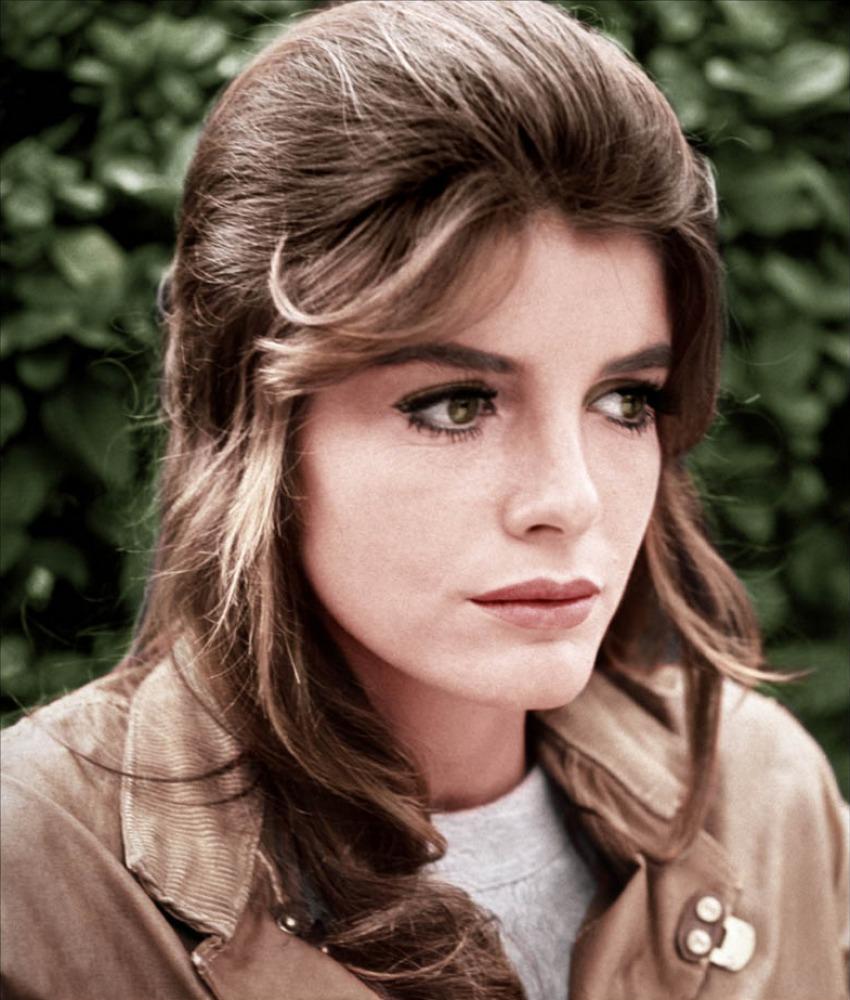katharine-ross-picture-5.jpg